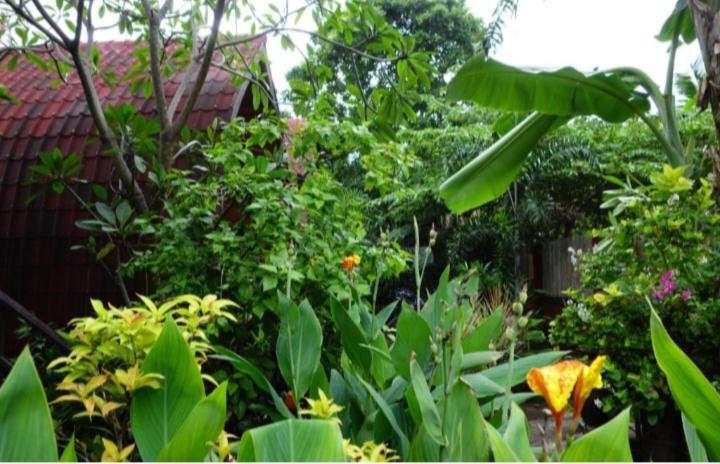 Banana Leaf Bungalow Gili Trawangan Exterior photo